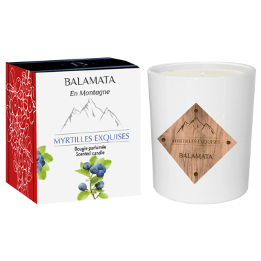 Exquisite Blueberries Scented Candle 200g