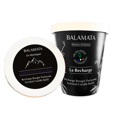 Exquisite Blueberries - Scented Candle Refill 200G