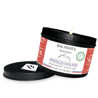 Exquisite Blueberries Scented Candle 160G