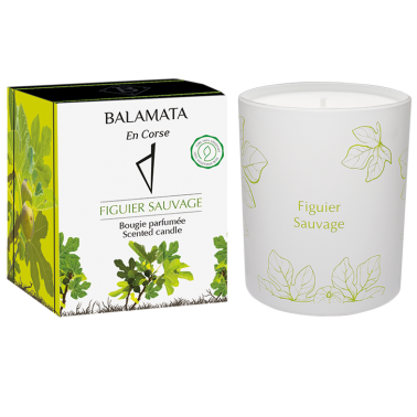 Figuier Sauvage Bougie parfumée 200g