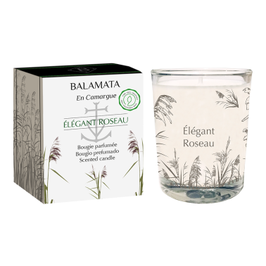 Bougie Parfumée 80G - Élégant Roseau - En Camargue