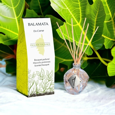 Bouquet Parfumé 100ml - Figuier Sauvage - Balamata En Corse